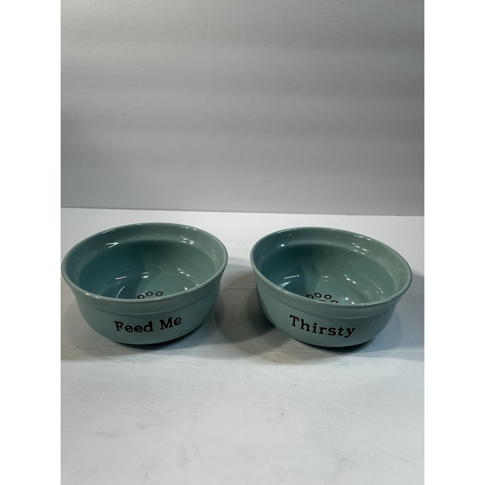 Set of 2 Ceramic Dog Cat Bowls Feed Me Thirsty Aqua Paw Print Pet Food Water